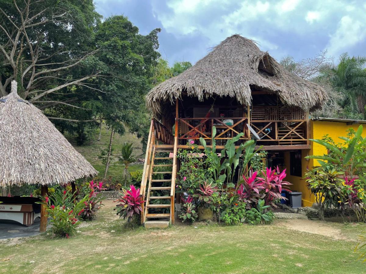 Ecohostal Palmares Del Rio Guachaca Exterior photo