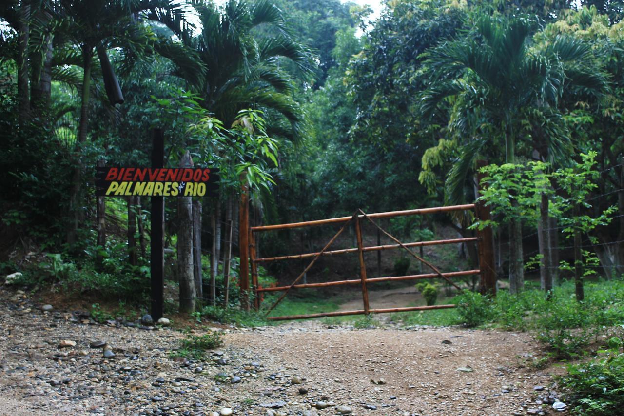 Ecohostal Palmares Del Rio Guachaca Exterior photo